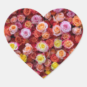 Lebendige Rosen in Mischfarben Floral Herz-Aufkleber