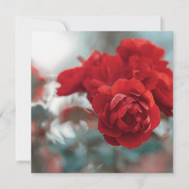 Lebendige rote Rose blüht Botanische Grußkarte Dankeskarte