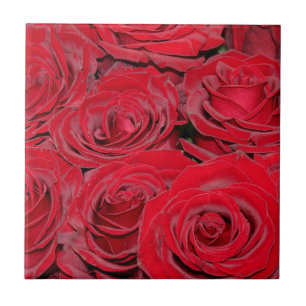 Lebendige rote Rosen Fliese