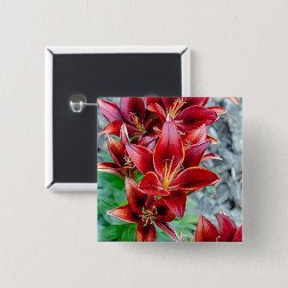 Lebendige rote Stargazer-Lilie Botanische Blume Button