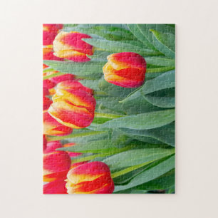 Lebendige rote und gelbe Tulpen im Frühlingsgarten Puzzle