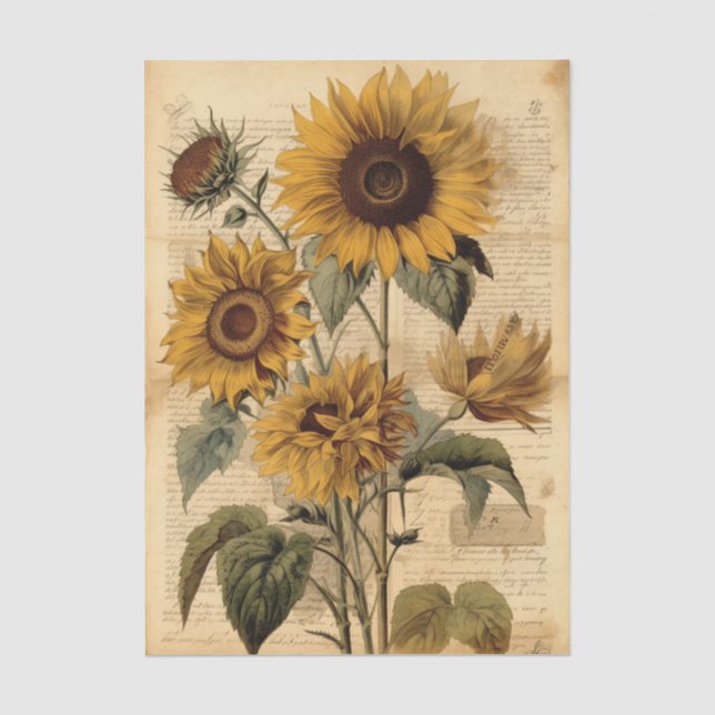 Lebendige Sonnenblumen und Vintage-Schrift Seidenpapier (Vorderseite)