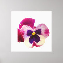Lebendige Stiefmütterchen-Blumen-Foto-Leinwand in