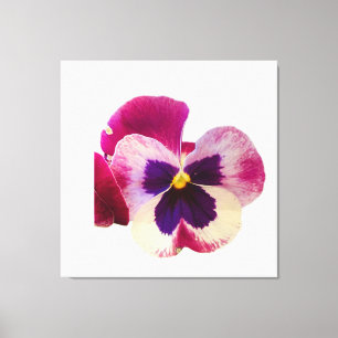 Lebendige Stiefmütterchen-Blumen-Foto-Leinwand in Leinwanddruck