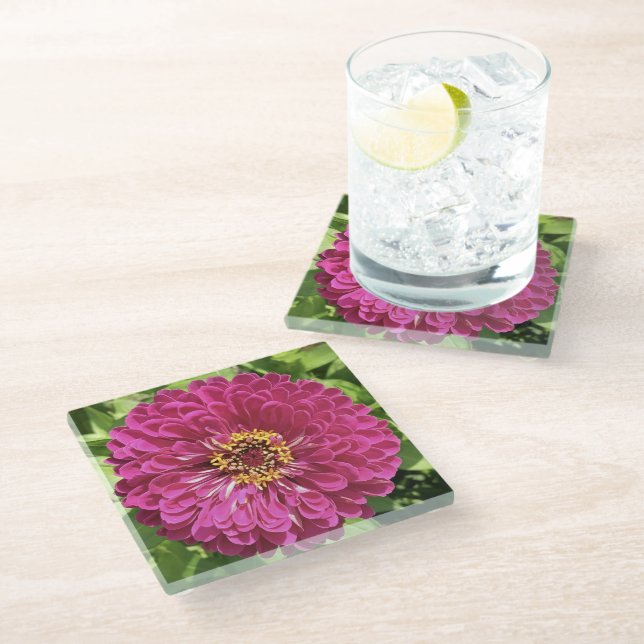 Lebendige Zinnienblumen-Foto Glasuntersetzer (Schrägansicht)