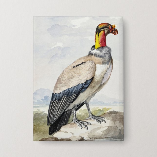 Lebendiger exotischer Königsgeier-Wandschmuck Button (Vorderseite)