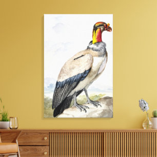 Lebendiger exotischer Königsgeier-Wandschmuck Leinwanddruck