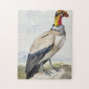 Lebendiger exotischer Königsgeier-Wandschmuck Puzzle