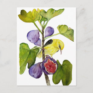 Lebendiger gelber Vogel mit violetten Feigen Aquar Postkarte