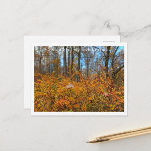 Lebendiger Herbstwald Wanderung - Goldene Blätter Postkarte