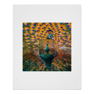 Lebendiger Pfau Wasser Reflexionsposter Poster
