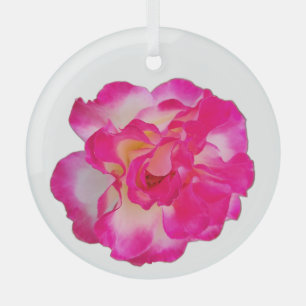 Lebendiger Rosa-Rosen-Schmuck Ornament Aus Glas
