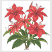 Lebendiger roter Hibiskus-Blumenstrauß