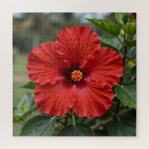 Lebendiger roter Hibiskus tropische Blüte Puzzle
