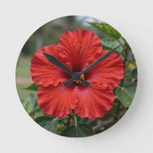 Lebendiger roter Hibiskus tropische Blüte Runde Wanduhr