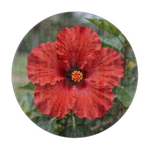 Lebendiger roter Hibiskus tropische Blüte Schneidebrett