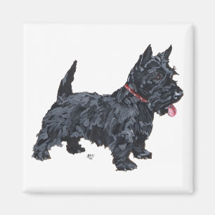 Lebendiger Scottie-Hund Magnet