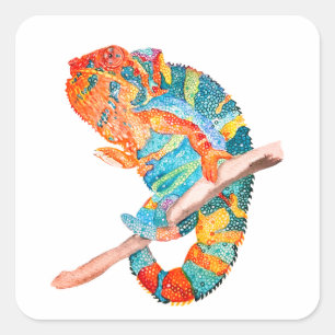 Lebendiges Chamäleon im Aquarellstil Quadratischer Aufkleber
