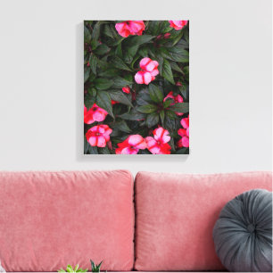 Lebendiges Rosa New Guinea Impatiens-Blumenmuster Leinwanddruck