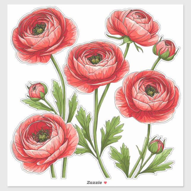 Lebendiges rotes Ranunculus-Blumenstrauß mit grüne Aufkleber (Blatt)