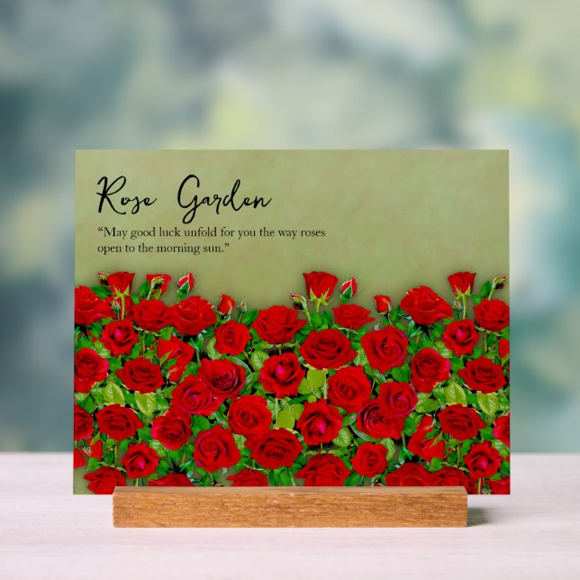 Lebendiges rotes Rosengarten-Blumenmuster Acrylschild (Neutral)