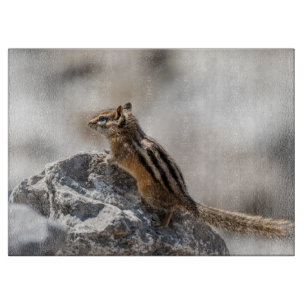 Lebendiges Streifenhörnchen – Kanadische Naturfoto Schneidebrett