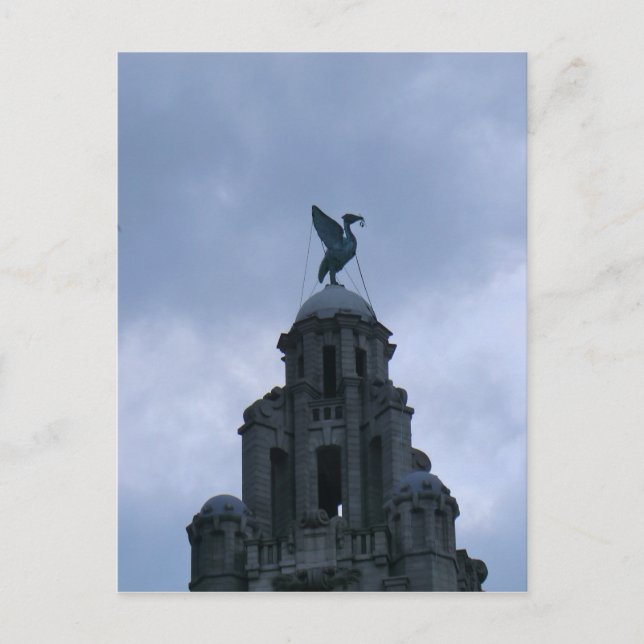 Lebendvogel in Liverpool Postkarte (Vorderseite)