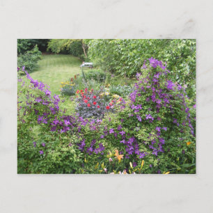 Lebendzaun ~ Postkarte