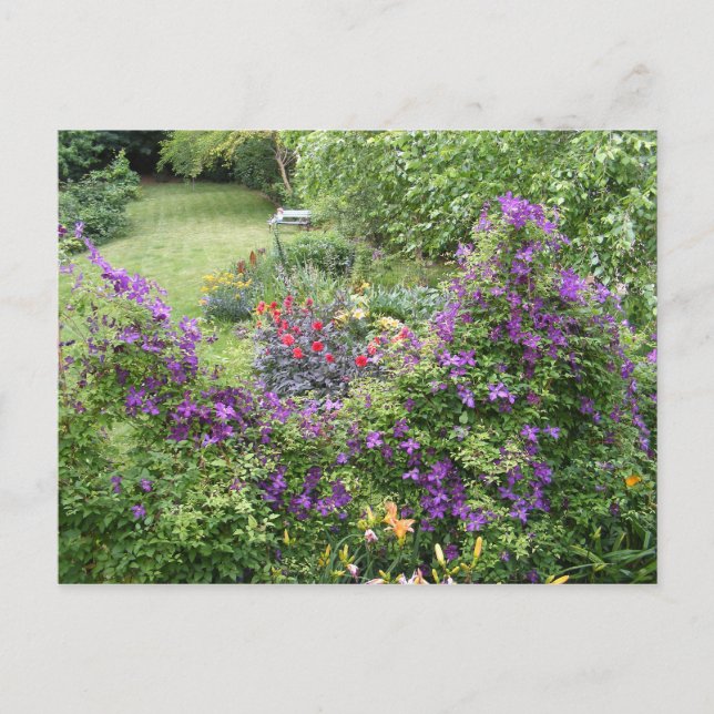 Lebendzaun ~ Postkarte (Vorderseite)