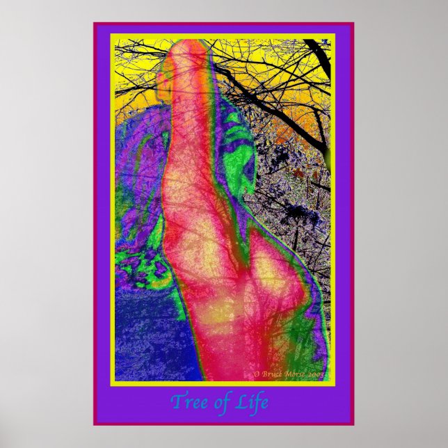 Lebensbaum Poster (Vorne)