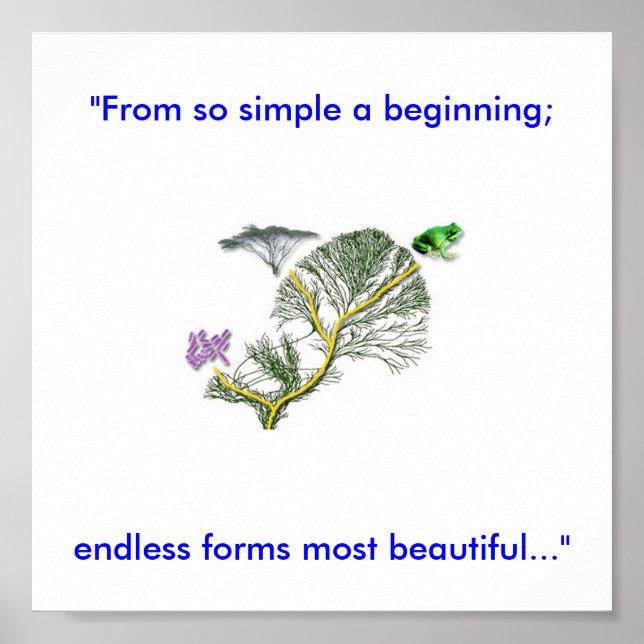 Lebensbaum Poster (Vorne)