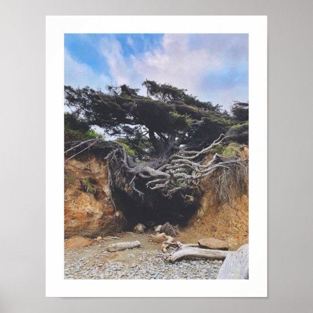 Lebensbaum Poster (Vorne)