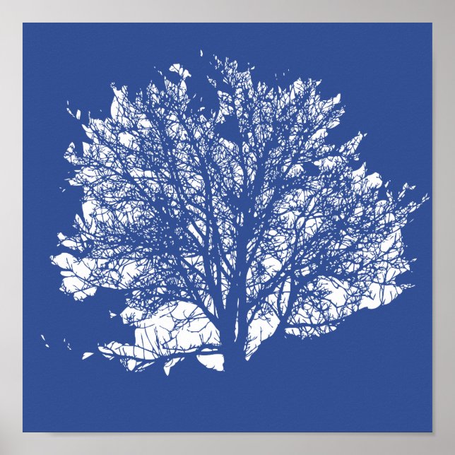 Lebensbaum Poster (Vorne)