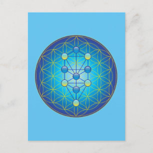 Lebensbaum Postkarte