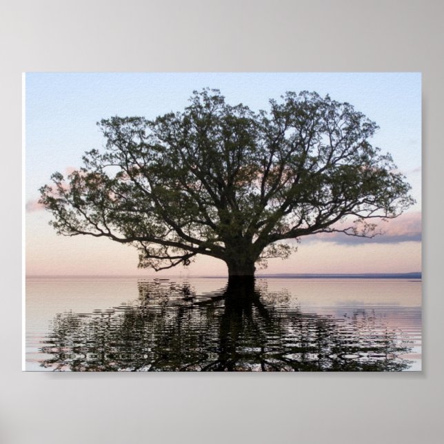 Lebensbaum (Reflektionen) Poster (Vorne)