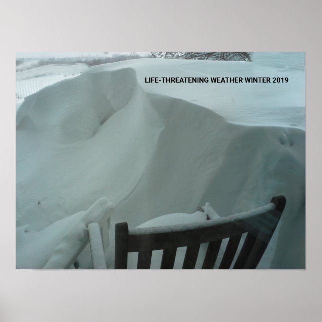 LEBENSBEDROHUNG WETTERWINTER 2019 POSTER (Vorne)