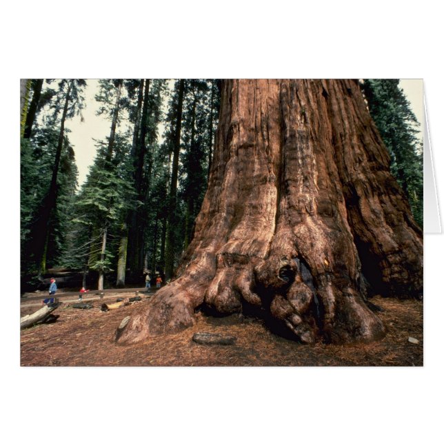 Lebensberg (Vorderseite (Horizontal))