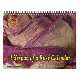 Lebensdauer eines Rose-Kalenders Kalender