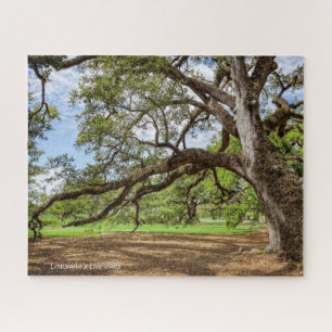 Lebenseiche von Louisiana, Puzzle