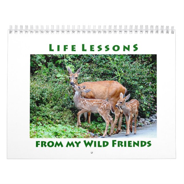 Lebenserfahrungen Wildtierkalender Kalender (Titelbild)