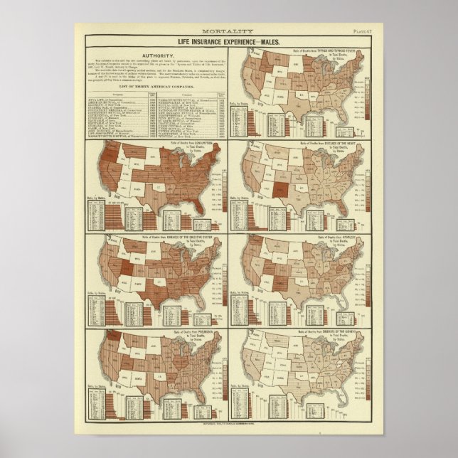 Lebenserwartung für Männer Poster (Vorne)