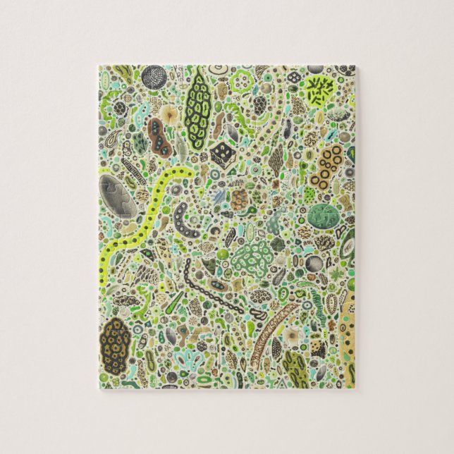 Lebensformen Puzzle (Vertikal)