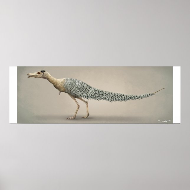 Lebensgröße Shuvuuuuia Poster (Vorne)