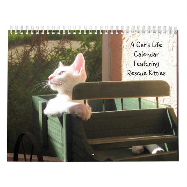 Lebenskalender einer Katze - mit lustigen Zitaten Kalender (Titelbild)