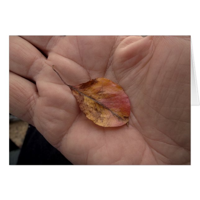 Lebensläufe 2014 (Vorderseite (Horizontal))