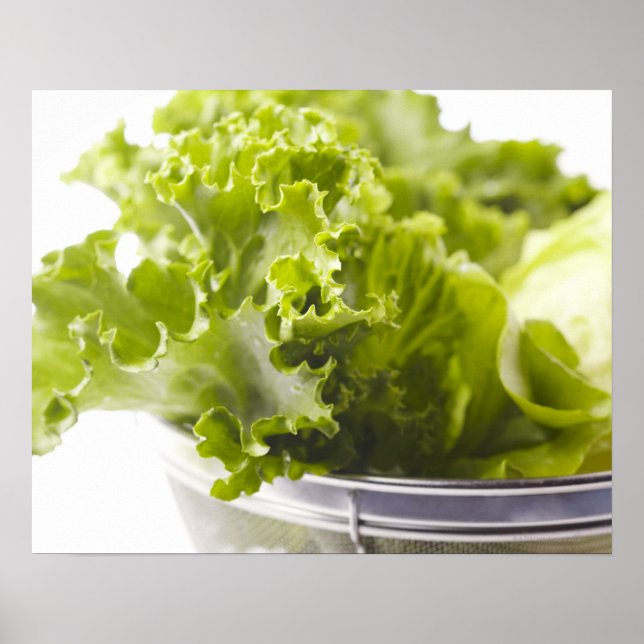 Lebensmittel, Lebensmittel und Getränke, Gemüse, Poster (Vorne)
