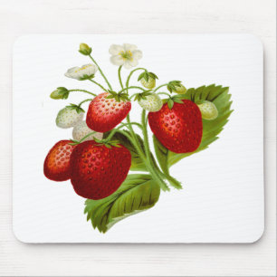 Lebensmittel Obst Blatt blättrig Blätter Mousepad