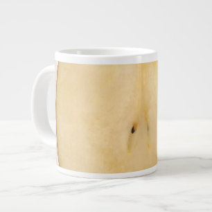 Lebensmittel - Obst - Eine Scheibe Bosc-Birne Jumbo-Tasse