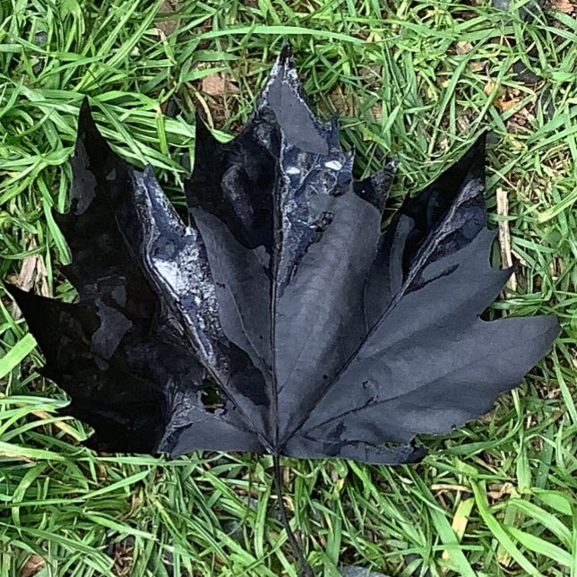 Lebensmittel- und Getränkebezeichnungssatz . Weinetikett (Von Creator hochgeladen)