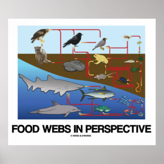 Lebensmittel-Webs in Perspektive (Ozean-/Landbiolo Poster